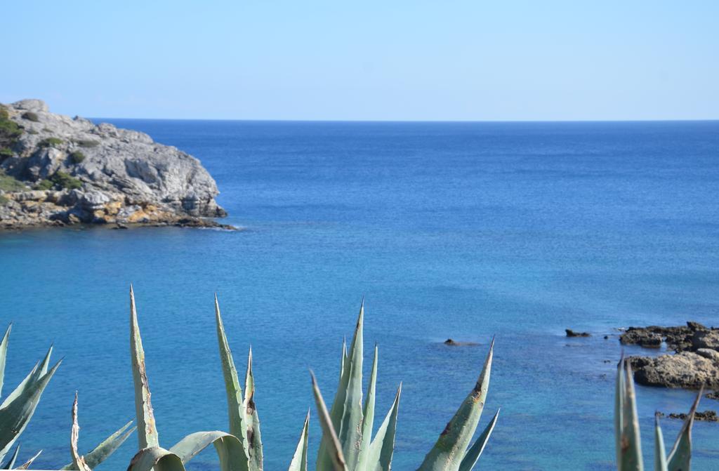 Ladiko Inn Hotel Faliraki -Anthony Quinn Bay Buitenkant foto